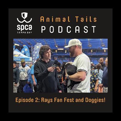 Tampa Bay Rays Players Talk Puppies, Spirit Animals, Ballpark Food, & Spring Training Tampa Bay Rays Players Talk Puppies, Spirit Animals, Ballpark Food, & Spring Training