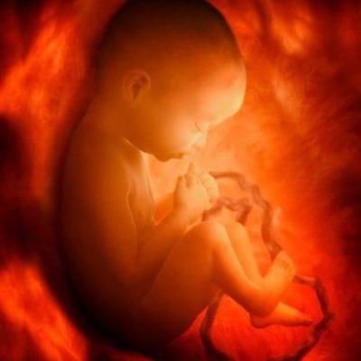 😘Special words for your unborn baby