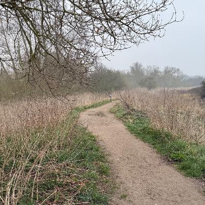 Woodpeckers, Flatford, Essex - 23rd March 2025