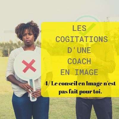 Le conseil en image n'est pas fait pour toi. Ep. 04