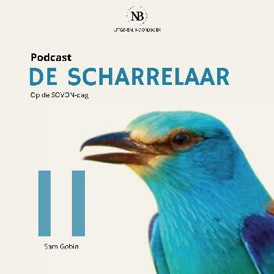 Sam Gobin over 'Vogeltrek in beeld'