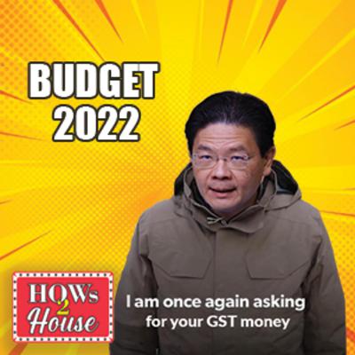 Episode 36: Budget 2022, a week later.