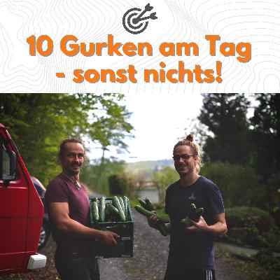 Reflektion Folge 2: “Nur Gurken” Reflektion Folge 2: “Nur Gurken”