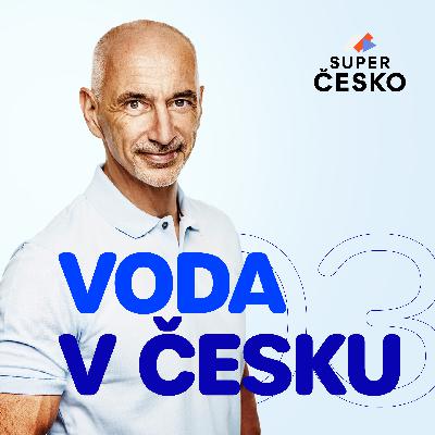 Voda v Česku. Komu patří, jak vzniká cena a hrozí nám sucho?