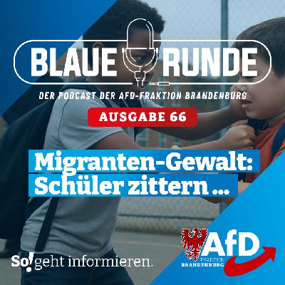 Migranten-Gewalt: Schüler zittern ... | Die Blaue Runde, Ausgabe 66/25 vom 21. Dezember 2025