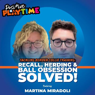 5. Border Collie Recall & Herding Tips That Actually Work 5. Border Collie Recall & Herding Tips That Actually Work