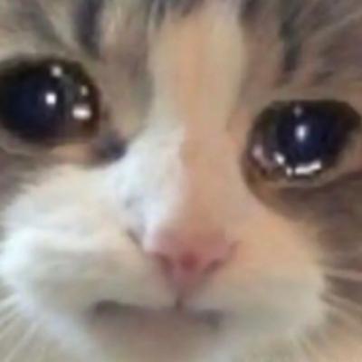 Noticias de un secuestro