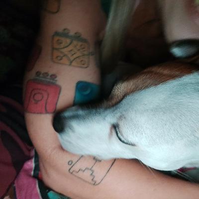 Dia Portal de Tormenta Harmônica kali 18 da Lua Cristal do Coelho 🐇🐰 Dia Portal de Tormenta Harmônica kali 18 da Lua Cristal do Coelho 🐇🐰