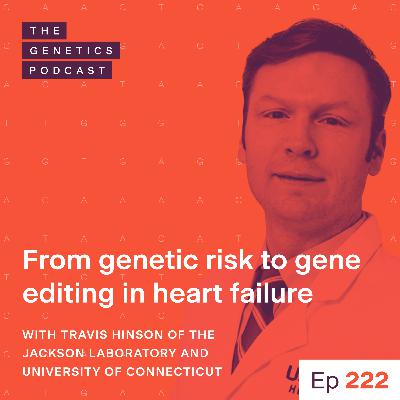 EP 222: From genetic risk to gene editing in heart failure with Travis Hinson of the Jackson Laboratory and University of Connecticut EP 222: From genetic risk to gene editing in heart failure with Travis Hinson of the Jackson Laboratory and University of Connecticut