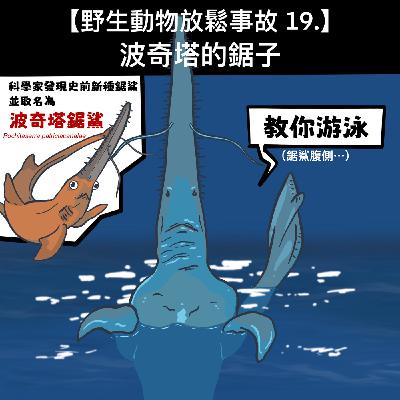 野生放鬆事故19. 波奇塔的鋸子