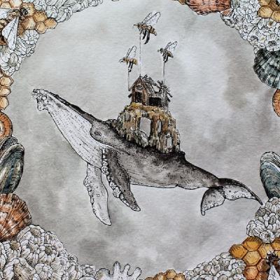 Música para Ballenas - Estrujar el año hasta la última nota.