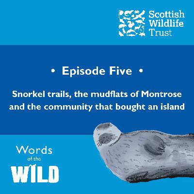Snorkel trails, the mudflats of Montrose and the community that bought an island