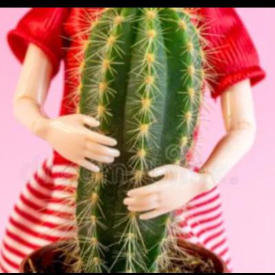 Toxic Mistrust 2: How to Investigate and Nurture our Toxic Mistrust in Mindfulness Meditation