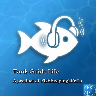 Episode 000 — Welcome to Tank Guide Life Episode 000 — Welcome to Tank Guide Life
