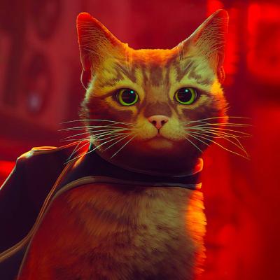 е149: Ігри про котиків.