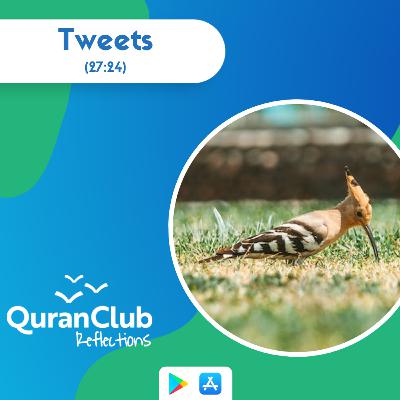 (27:24) Tweets - Quran: Al-Naml - Talha Ghannam #FridayReminders #QuranReflections [Ep. 42]