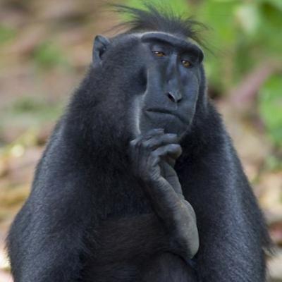 Episódio 6: A questão climática e a iminência do colapso ambiental. Episódio 6: A questão climática e a iminência do colapso ambiental.