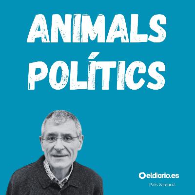 Ep. 22 - La dictadura dels algoritmes