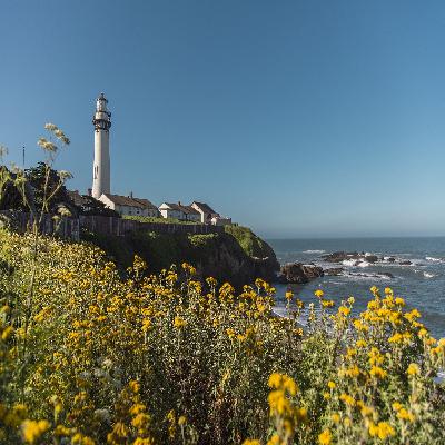 The Ultimate Guide to Starting Your Own Garden