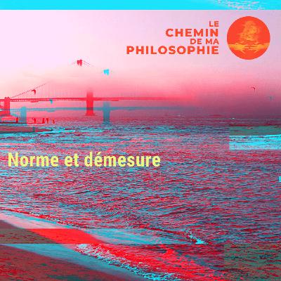 Norme et démesure Norme et démesure