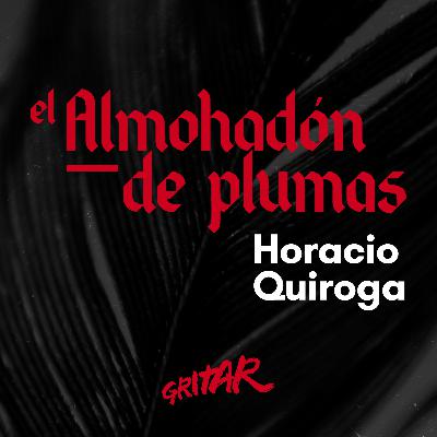 El almohadón de plumas - Horacio Quiroga (Audiocuento)