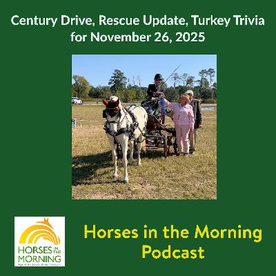 Century Drive, Rescue Update, Turkey Trivia for November 26, 2025 Century Drive, Rescue Update, Turkey Trivia for November 26, 2025