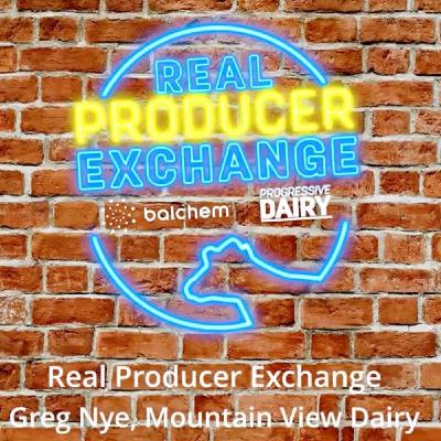 Real Producer Exchange: Greg Nye, Mountain View Dairy