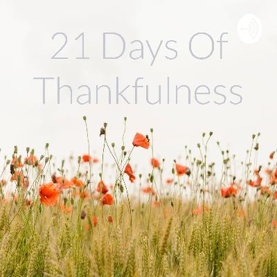 Day 10 of 21 days of thankfulness
