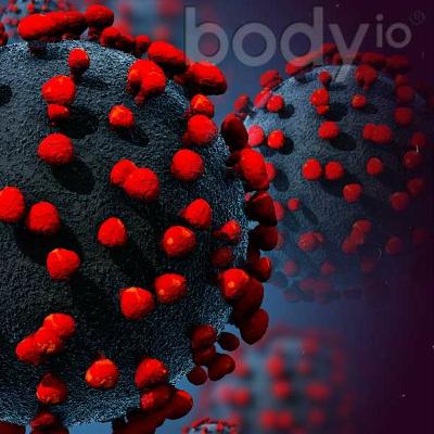 The Sky Is Falling: Grab a Corona and Relax