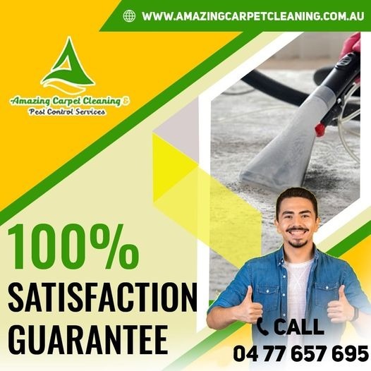 Amazing Carpet Cleaning & Pest Control Services