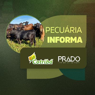 EP 29 Cofira os destaques do mercado pecuário e da carne