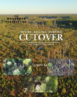 Cutover, Overlooked and Undervalued