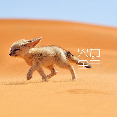 015 在阿尔及利亚生活两年是怎样一种体验（上）