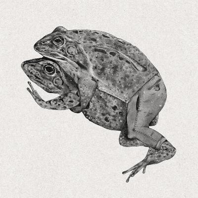 A Brief History of Xenopus A Brief History of Xenopus