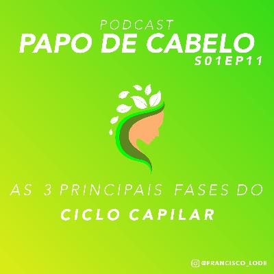 As 3 Principais Fases do Ciclo Capilar