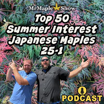 Top 50 Summer Interest Japanese Maples 25-1 | MrMaple Show Podcast