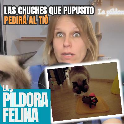 570. Las CHUCHES que Pupusito pedirá al TIÓ 570. Las CHUCHES que Pupusito pedirá al TIÓ