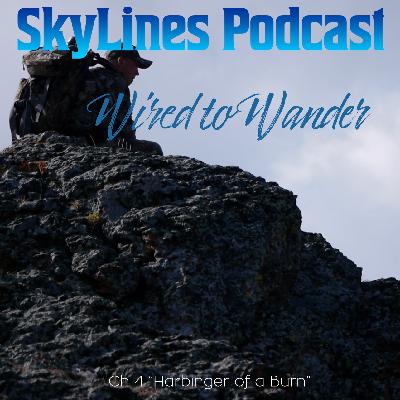 Wired to Wander Ch 4 "Harbinger of a Burn" Wired to Wander Ch 4 "Harbinger of a Burn"