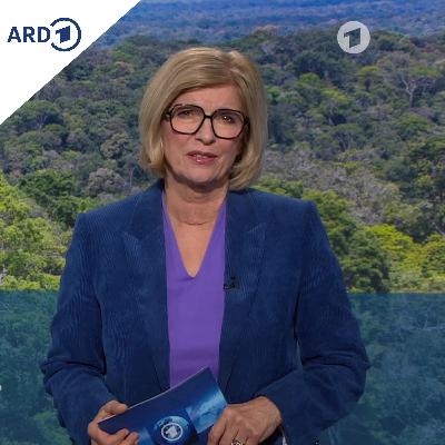 tagesschau in Einfacher Sprache 19:00 Uhr, 07.11.2025 tagesschau in Einfacher Sprache 19:00 Uhr, 07.11.2025
