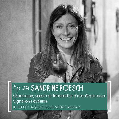 #29 · Sandrine Boesch, œnologue, coach et fondatrice d’une école pour vignerons éveillés #29 · Sandrine Boesch, œnologue, coach et fondatrice d’une école pour vignerons éveillés