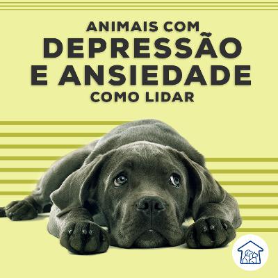Animais com depressão e ansiedade: como lidar? Animais com depressão e ansiedade: como lidar?