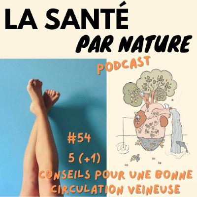 #54 - Cinq (+1) conseils de naturopathe pour un bonne circulation veineuse
