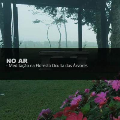 @BruxaAkina - Meditação na Floresta Oculta das Árvores