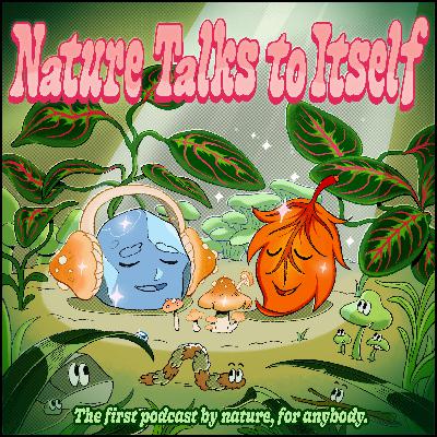 32. Snail Mail Special - Brian David Gilbert