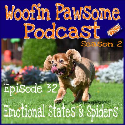 Emotional States & Spiders - Episode 32 (Season 2 Take 2) Emotional States & Spiders - Episode 32 (Season 2 Take 2)