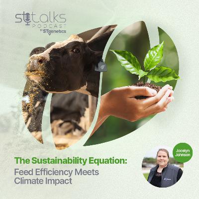 STtalks #368 - The Sustainability Equation: Feed Efficiency Meets Climate Impact with Jocelyn Johnson