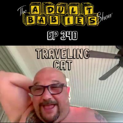 Ep 340 "Traveling Cat" Ep 340 "Traveling Cat"