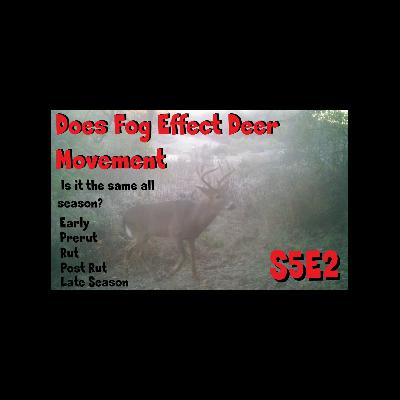Fog and does it effect deer movement for your hunt s5e2 movie