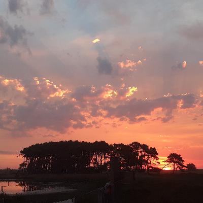 Respiracion del amor Respiracion del amor