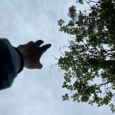 A short late night talk: About Movies and the fictional Life